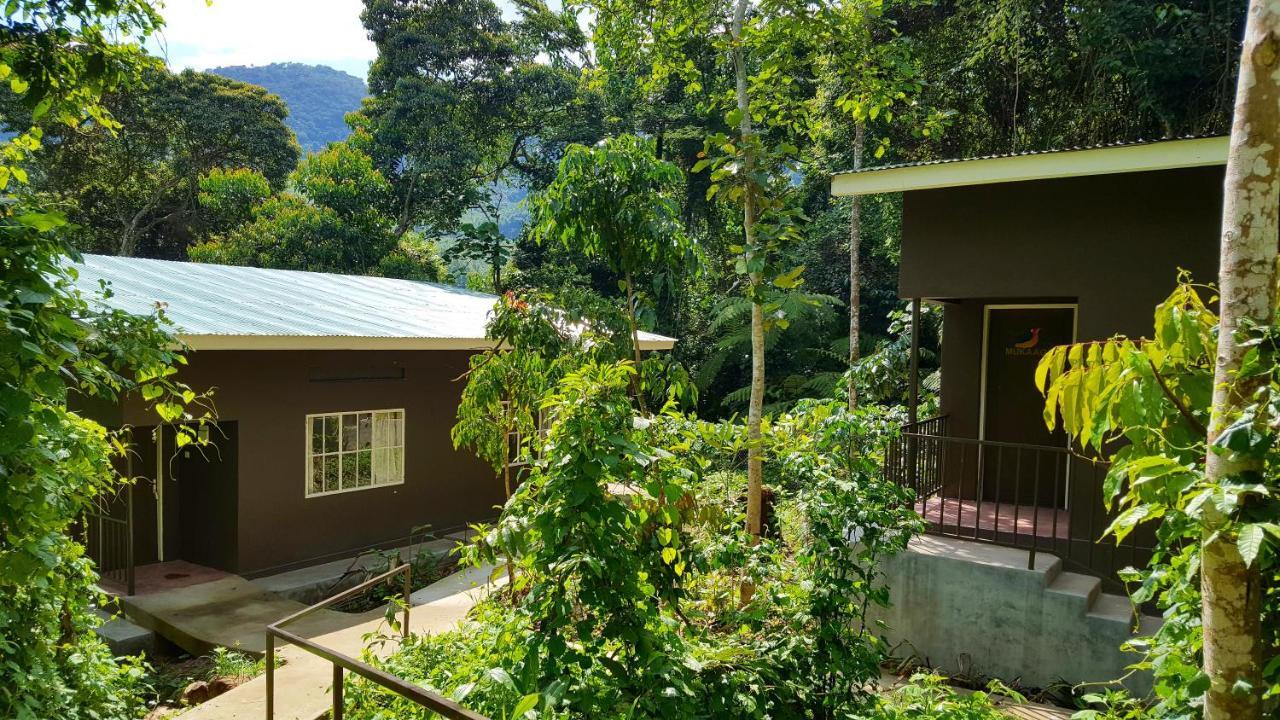 Bwindi Guest House Kanungu Экстерьер фото