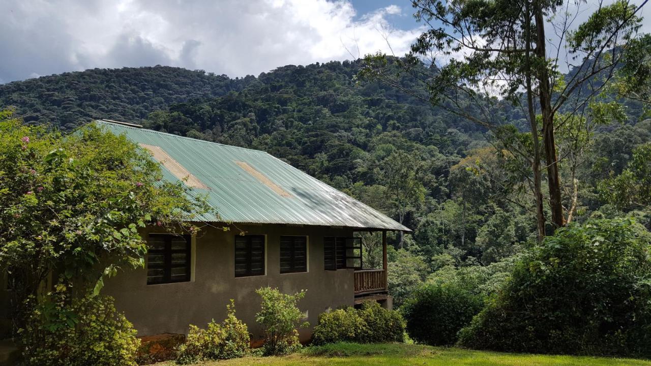 Bwindi Guest House Kanungu Экстерьер фото